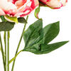 Vickerman 20" Artificial Peony Bunch - view 8 of 8