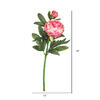 Vickerman 24" Artificial Peony Stem - view 8 of 8