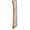 38" Needle Pine Spry-Champagne 3/pk - view 5 of 6