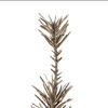 38" Needle Pine Spry-Champagne 3/pk - view 4 of 6