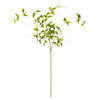 Vickerman Artificial Green Clematis Leaves Spray - view 1 of 4