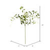 Vickerman Artificial Green Clematis Leaves Spray - view 2 of 4