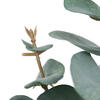 27" Green Eucalyptus Spray 3/pk - view 4 of 8