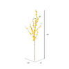 39" Yellow Forsythia Flower Spray 4/pk - view 2 of 3
