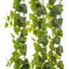 71" Green Frstd Ivy Vine FT 142 Lvs 3/pk - view 4 of 4