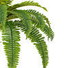 Vickerman Artificial Green Boston Fern Bush - view 2 of 4