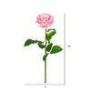 Vickerman 26" Artificial Rose Stem - view 2 of 3