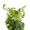 21" Green Succulent Bouquet - view 5 of 5