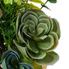 21" Green Succulent Bouquet - view 3 of 5