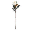 28" White Magnolia Flower Lvs Spray 2/Bg - view 1 of 3