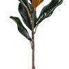 28" White Magnolia Flower Lvs Spray 2/Bg - view 3 of 3
