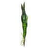 Vickerman Green Sanseveria Pick Real Touch Stem - view 1 of 4