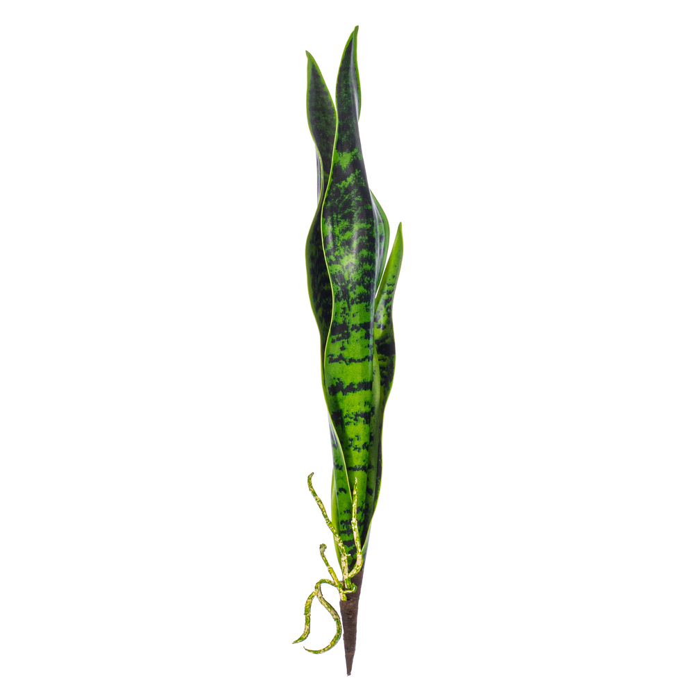 Vickerman Green Sanseveria Pick Real Touch Stem