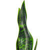 Vickerman Green Sanseveria Pick Real Touch Stem - view 2 of 4