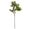 35" Green Magnolia Branch 22 Leaves 2/Bg - view 1 of 4