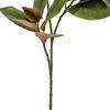 35" Green Magnolia Branch 22 Leaves 2/Bg - view 3 of 4