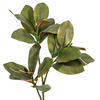 35" Green Magnolia Branch 22 Leaves 2/Bg - view 2 of 4