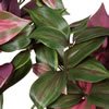 Vickerman Artificial Green and Red Leaf Hanging Bush - view 3 of 5