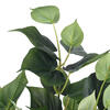 Vickerman Artificial Green Philo Bush - view 4 of 6