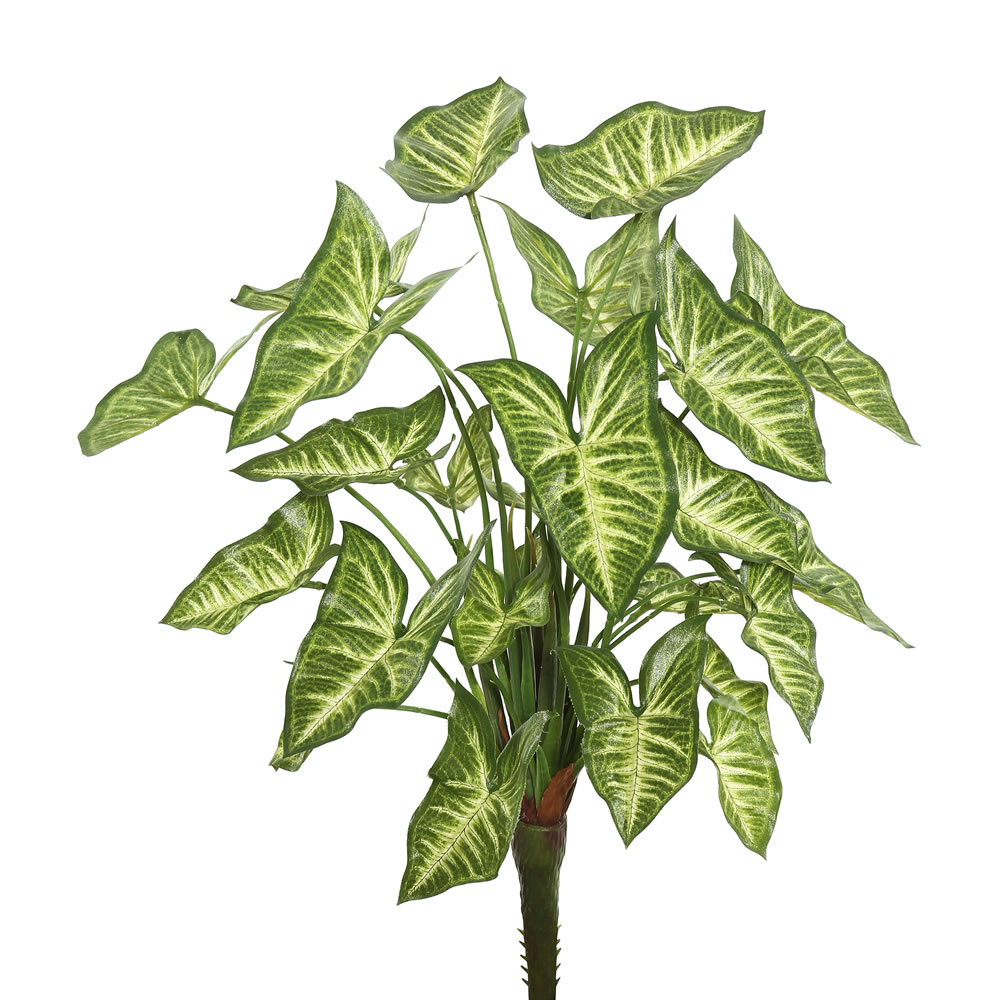 Vickerman Artificial Green Syngonium Bush