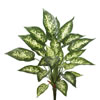 Vickerman Artificial Green and White Dieffenbachia Exotica Bush - view 1 of 3