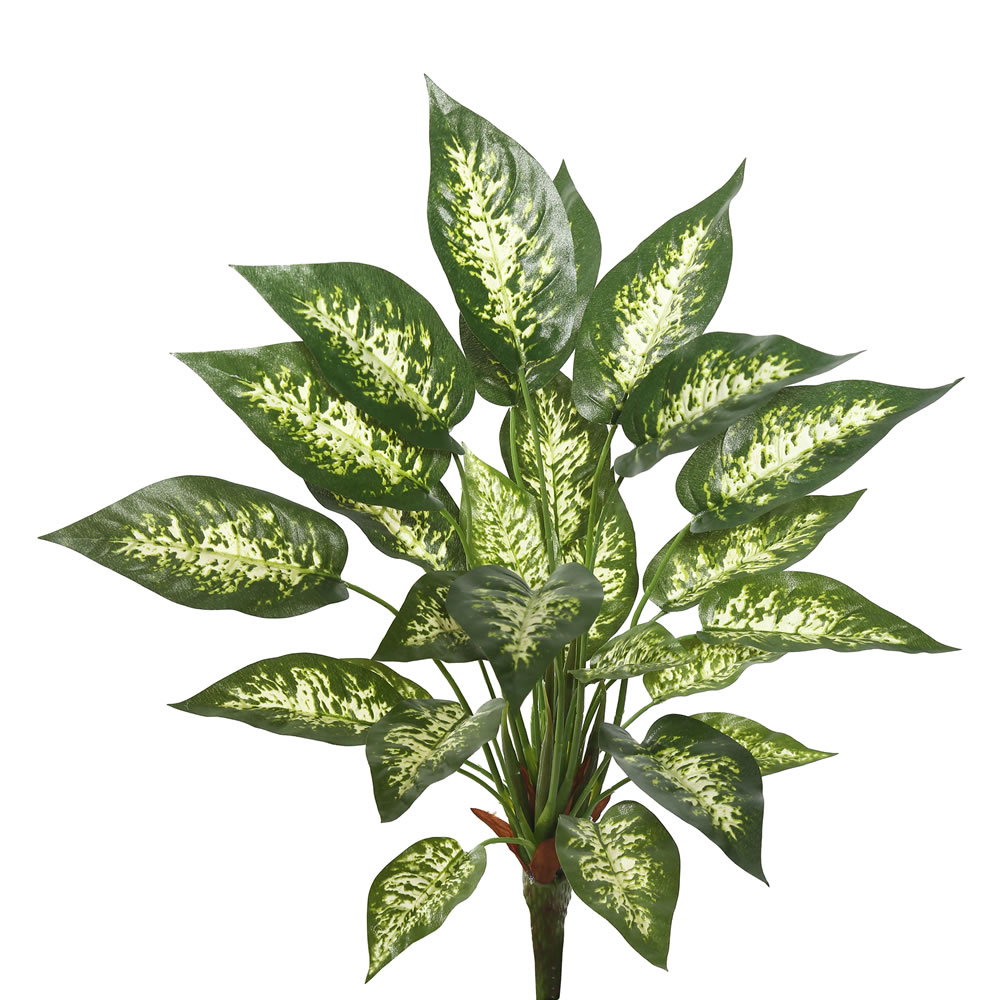Vickerman Artificial Green and White Dieffenbachia Exotica Bush