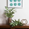 Vickerman Artificial Green and White Dieffenbachia Exotica Bush - view 2 of 3