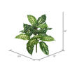 Vickerman Artificial Green Dieffenbachia Plant, 2/pk - view 2 of 3
