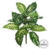Vickerman Artificial Green Dieffenbachia Plant, 2/pk - view 3 of 3