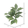 Vickerman Artificial Green and White Zebra Plant - view 3 of 3
