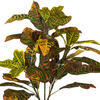 Vickerman Artificial Green and Orange Croton Plant - view 3 of 4