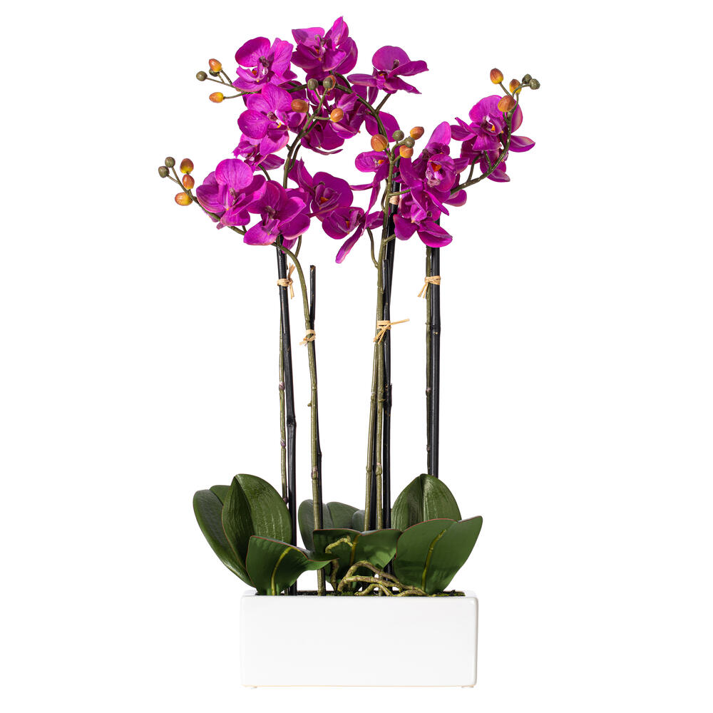 Vickerman Artificial Orchid Arrangement