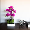 Vickerman Artificial Orchid Arrangement - view 2 of 5