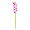 Vickerman 35" Real Touch Orchid Stem - view 1 of 6