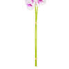 Vickerman 35" Real Touch Orchid Stem - view 4 of 6