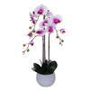 Vickerman 26" Real Touch Orchid Stem in Cement Pot - view 1 of 2