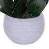 Vickerman 26" Real Touch Orchid Stem in Cement Pot - view 2 of 2