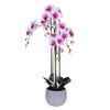 Vickerman 39" Real Touch Orchid Stem in Cement Pot - view 1 of 2
