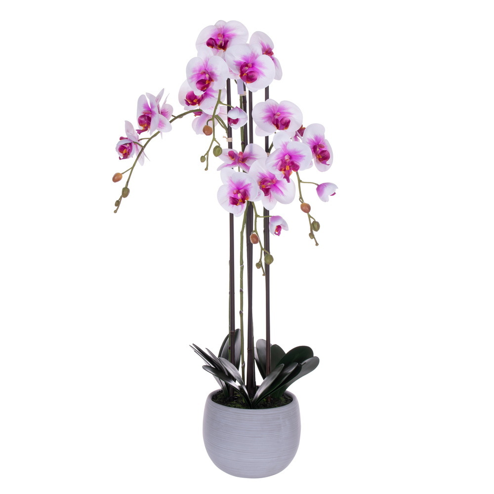 Vickerman 39" Real Touch Orchid Stem in Cement Pot