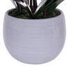 Vickerman 39" Real Touch Orchid Stem in Cement Pot - view 2 of 2