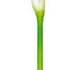 Vickerman Artificial 26" Calla Lily Stem - view 4 of 5