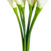 Vickerman Artificial 14" Calla Lily Bundle - view 5 of 7