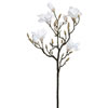 42'' White Magnolia Spray - view 1 of 3