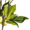 Vickerman Artificial Peony Spray - view 4 of 7