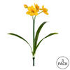 Vickerman Artificial Narcissus Spray - view 3 of 3