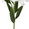 Vickerman 36" Artificial Real Touch Lily Spray - view 6 of 7