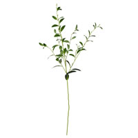 Green Leaf