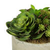8" Succulent Arrangement - view 4 of 8