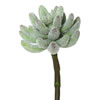 Vickerman Artificial Crassula Pick - view 1 of 4