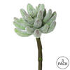 Vickerman Artificial Crassula Pick - view 4 of 4